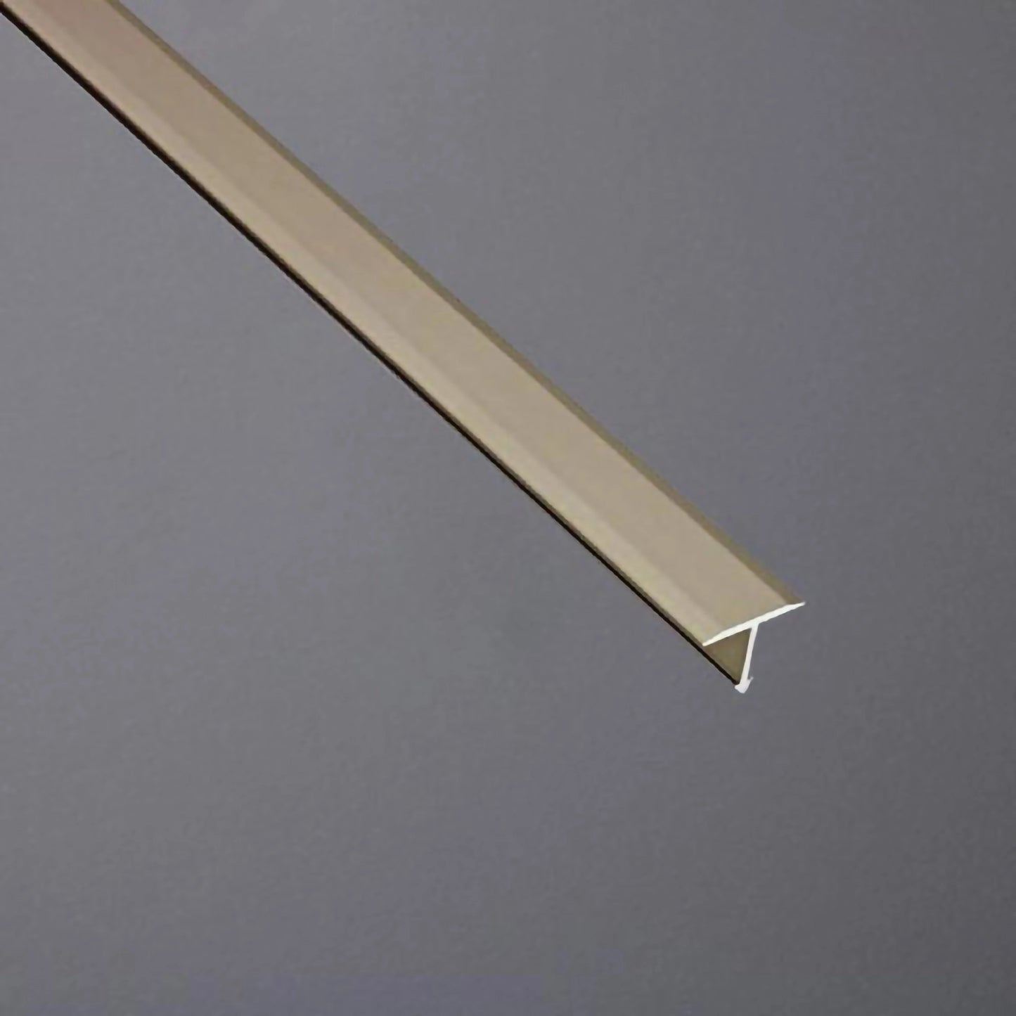 T-Profil Aluminium titan